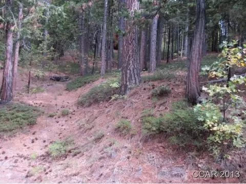 2261 Sultana Rd, Arnold, CA 95223 photo 1