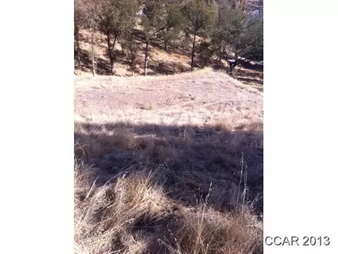 4242 Tomahawk Trl, Copperopolis, CA 95228 photo 2