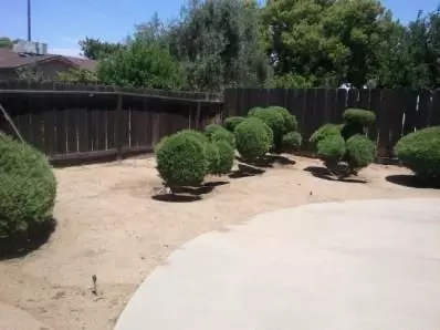 129 W Norwich Ave, Clovis, CA 93612 photo 7