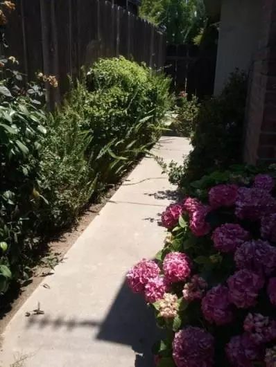 129 W Norwich Ave, Clovis, CA 93612 photo 4