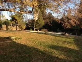 18781 Midland Way, Madera, CA 93638 photo 6