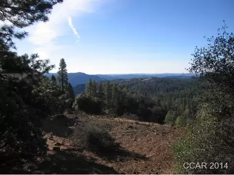 1133 Laurel, Murphys, CA 95247 photo 1