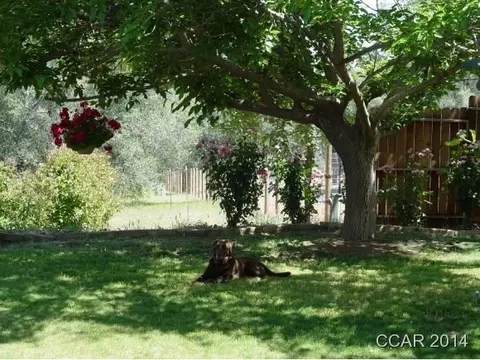 3081 Canoe St, Copperopolis, CA 95228 photo 9