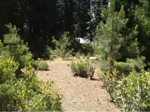 1859 Kit Carson Cir, Arnold, CA 95223 photo 2