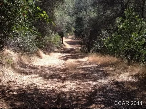 2140 Moro, San Andreas, CA 95249 photo 2