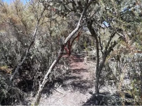 4380 Chuckwagon Dr, Copperopolis, CA 95228 photo 4