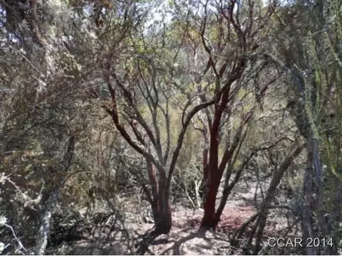 4380 Chuckwagon Dr, Copperopolis, CA 95228 photo 3