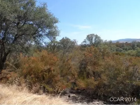 4380 Chuckwagon Dr, Copperopolis, CA 95228 photo 9