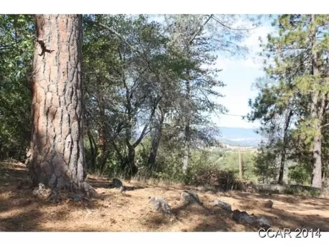 4790 Ponderosa Way, Murphys, CA 95247 photo 9