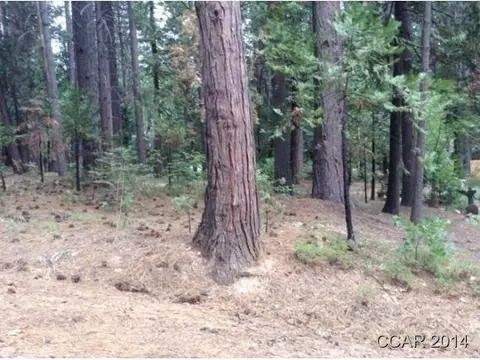 1828 Fairway, Arnold, CA 95223 photo 1
