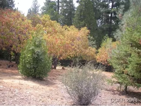 1018 Dogwood Dr, Murphys, CA 95247 photo 2