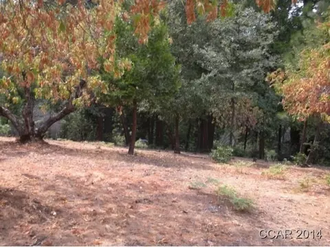 1018 Dogwood Dr, Murphys, CA 95247 photo 1