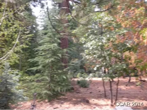 1018 Dogwood Dr, Murphys, CA 95247 photo 3
