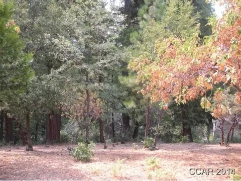1018 Dogwood Dr, Murphys, CA 95247 photo 4