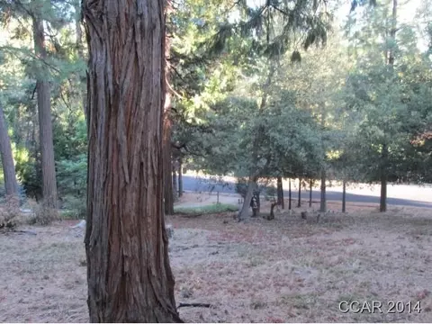 960 Forest Meadows Dr, Murphys, CA 95247 photo 6