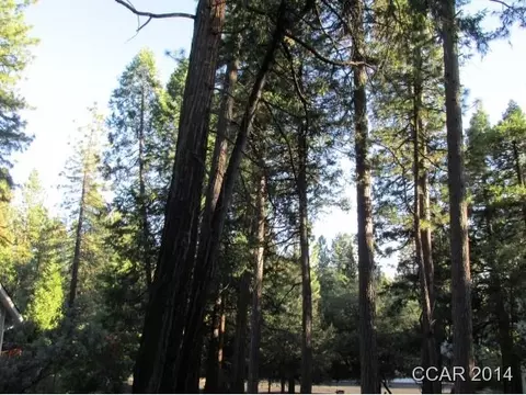 960 Forest Meadows Dr, Murphys, CA 95247 photo 5