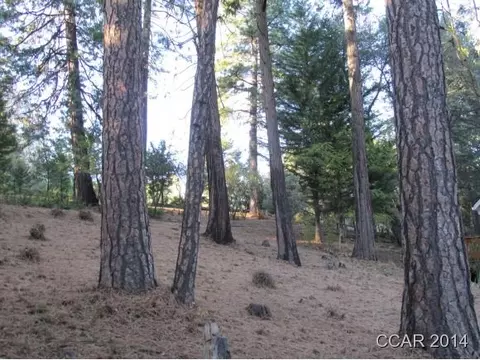 960 Forest Meadows Dr, Murphys, CA 95247 photo 7