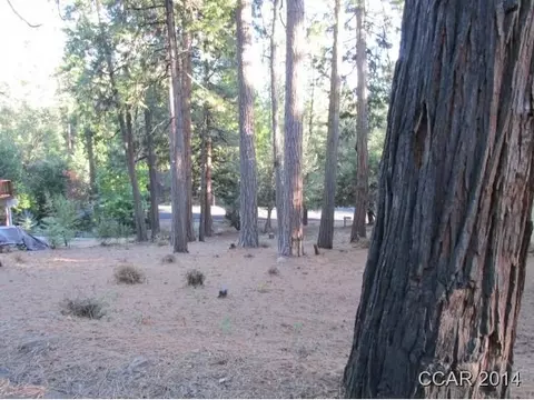 960 Forest Meadows Dr, Murphys, CA 95247 photo 2