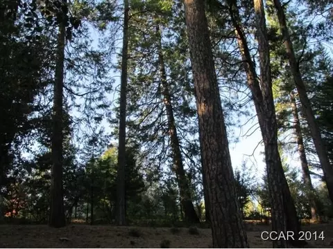 960 Forest Meadows Dr, Murphys, CA 95247 photo 3