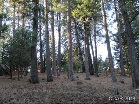 960 Forest Meadows Dr, Murphys, CA 95247 photo 8