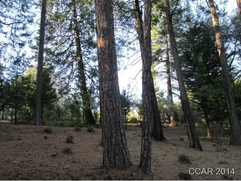 960 Forest Meadows Dr, Murphys, CA 95247 photo 1
