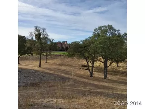 156 Blue Oak Ct, Copperopolis, CA 95228 photo 1