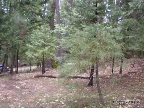 2946 Circle Ct, Arnold, CA 95223 photo 7