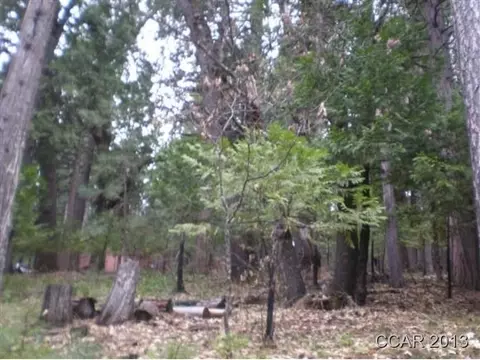2946 Circle Ct, Arnold, CA 95223 photo 4