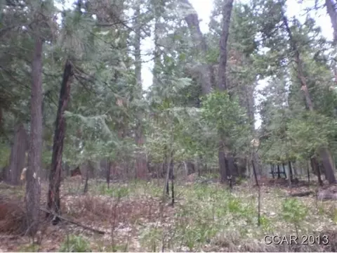 2946 Circle Ct, Arnold, CA 95223 photo 9