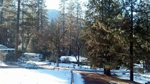 39761 Pine Ridge Rd, Oakhurst, CA 93644 photo 2
