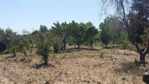 36345 Avenue 17, Madera, CA 93636 photo 3