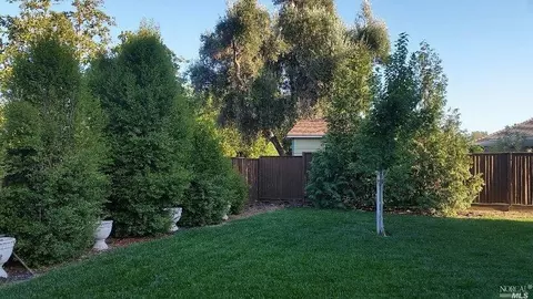 625 Ivy Loop, Winters, CA 95694 photo 2