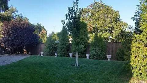 625 Ivy Loop, Winters, CA 95694 photo 3