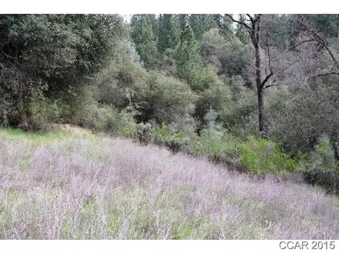 5970 Michel Rd, Mountain Ranch, CA 95246 photo 4