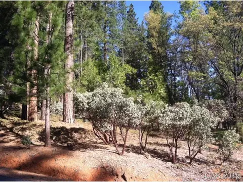 2160 Grand Tetons, Arnold, CA 95223 photo 1