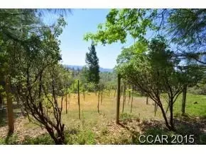 59 Heather Ct, Murphys, CA 95247 photo 6