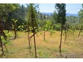 59 Heather Ct, Murphys, CA 95247 photo 7