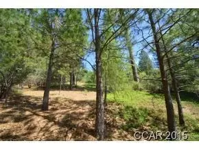 59 Heather Ct, Murphys, CA 95247 photo 8