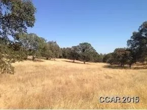 4486 Buckboard, Copperopolis, CA 95228 photo 1