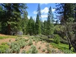 2021 Colleen Ct, Arnold, CA 95223 photo 2