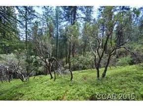 2021 Colleen Ct, Arnold, CA 95223 photo 3