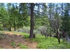 2021 Colleen Ct, Arnold, CA 95223 photo 4