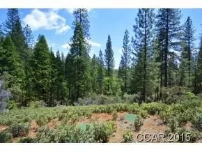 2021 Colleen Ct, Arnold, CA 95223 photo 7