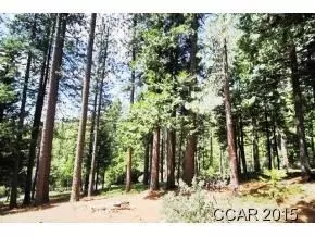 2360 Elizabeth Dr, Arnold, CA 95223 photo 5