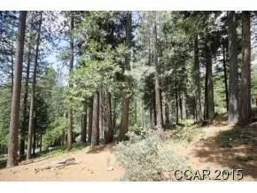 2360 Elizabeth Dr, Arnold, CA 95223 photo 4
