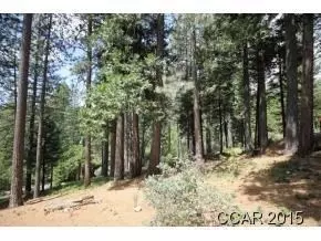 2360 Elizabeth Dr, Arnold, CA 95223 photo 3
