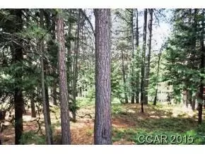 2360 Elizabeth Dr, Arnold, CA 95223 photo 6