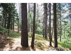 2360 Elizabeth Dr, Arnold, CA 95223 photo 1
