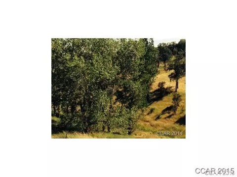 1137 Cheyenne, Copperopolis, CA 95228 photo 9