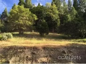 388 Snowberry, Murphys, CA 95247 photo 1